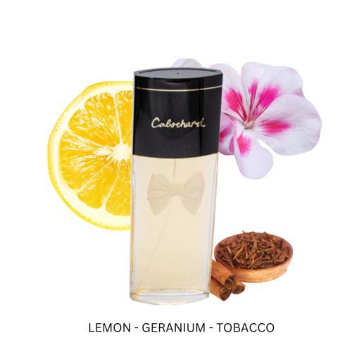 CabochardForWomenByGresEauDeToiletteSpray3.4oz 9835e1fd f466 497a be2e 2d98a32649ff