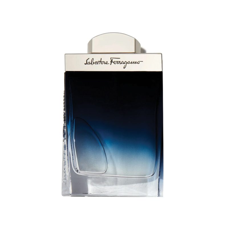 Subtil Pour Homme Men By Salvatore Ferragamo Eau De Toilette Spray 3.4 Oz